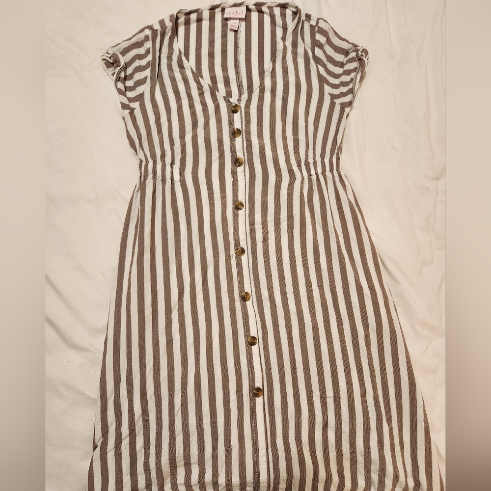 Isabel Maternity by Ingrid & Isabel Brown and White Striped Dress